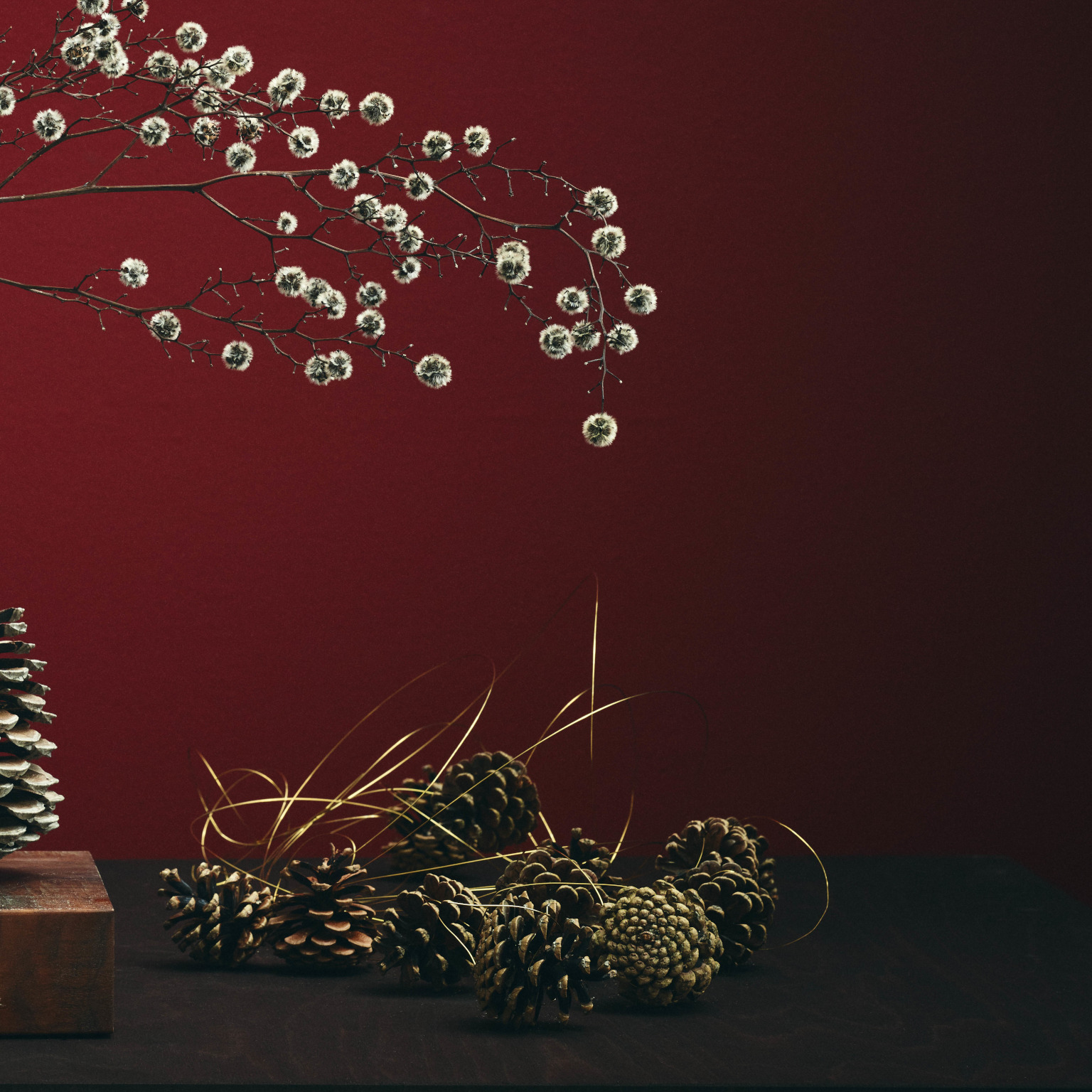 Weidenkätzchen und Tannenzapfen als weihnachtliche Dekoelemente vor dunkelrotem Hintergrund